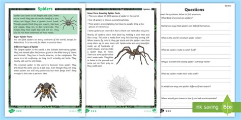 Spiders Differentiated Reading Comprehension Activity Twinkl Spiders Worksheet 4th Grade - Spiders Worksheet 4th Grade