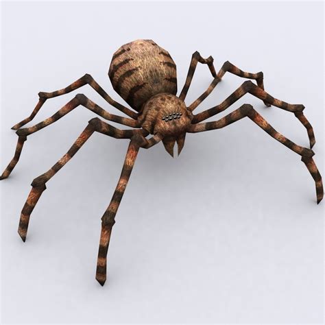 spiders pack 3d model