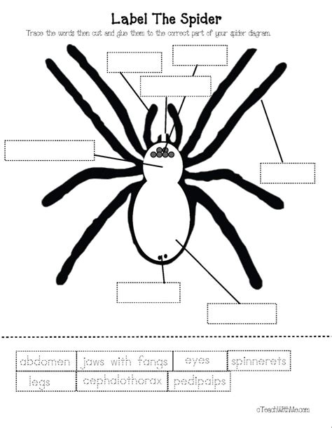Spiders Printable Pages And Worksheets A To Z Spiders Worksheet 4th Grade - Spiders Worksheet 4th Grade