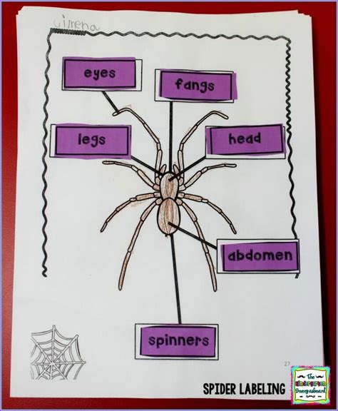 Spiders The Kindergarten Smorgasboard Spiders Kindergarten - Spiders Kindergarten