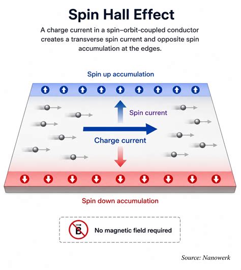 Spin Hall Effect And Spin Orbit Torques