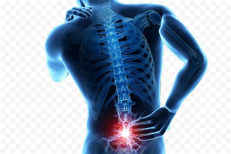 spinal cord injury sports