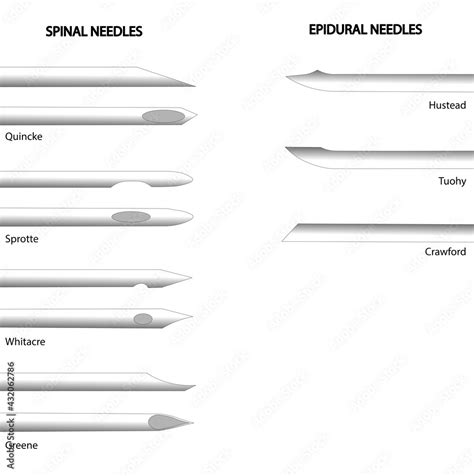 Spinal Needle Types