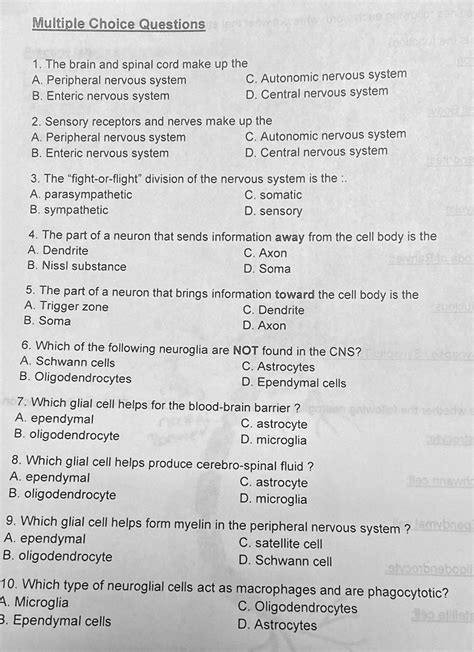 Download Spinal Cord Multiple Choice Questions And Answers 