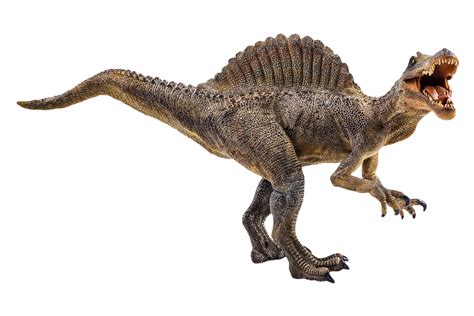 spinosaurus | What is a Spinosaurus Twinkl