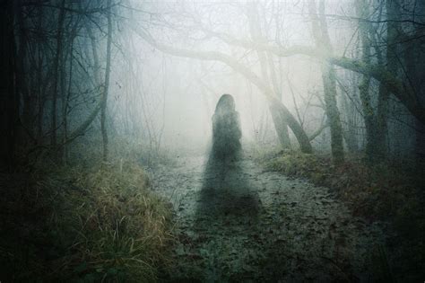 Spirits From Beyond A Ghost Finders Novel Band 4