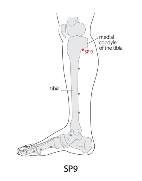 Spleen 9
