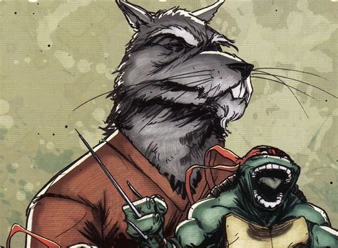 splinter tmnt wiki