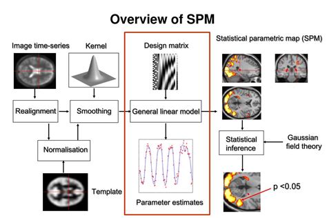 Spm A General Linear Approach Mit Csail