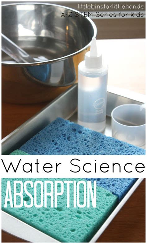 Sponge Absorption Science Experiment   Blog Archives Discovery Express - Sponge Absorption Science Experiment