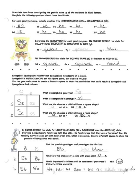 Sponge Bob Genetics Punnett Square Practice Worksheet Sponge Bob Science Worksheets - Sponge Bob Science Worksheets