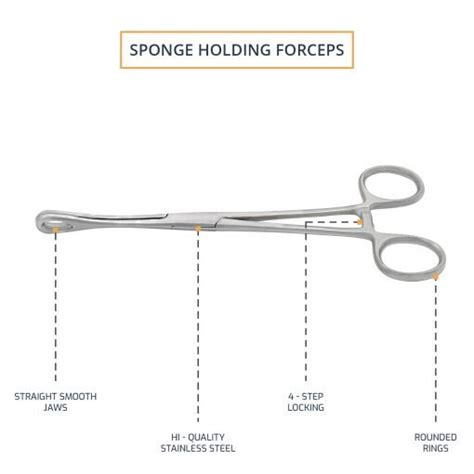 Sponge Holding Forceps