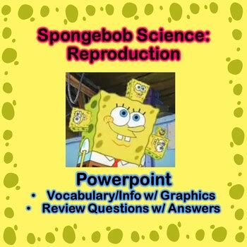 Spongebobscience Teaching Resources Tpt Sponge Bob Science Worksheets - Sponge Bob Science Worksheets