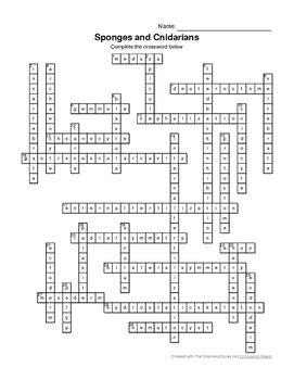 Full Download Sponges And Cnidarians Crossword Answers 