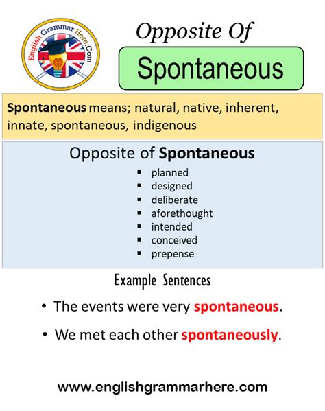 Spontaneous Antonym