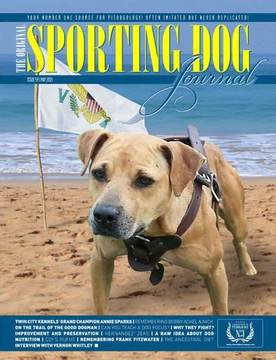 Sporting Dog Journal