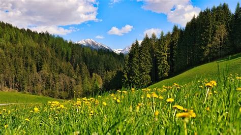 sportingbet nacional!