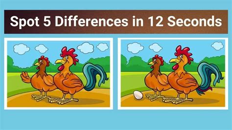 Spot The 5 Difference Activity Book