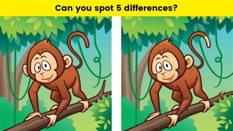 spot the monkey in the jungle