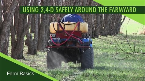 spraying 2,4d around cattle - CattleToday.com