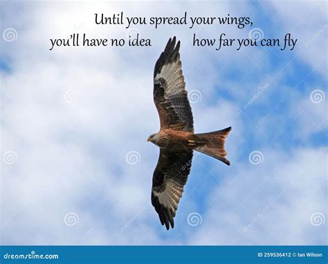 Spread Your Wings And Fly: An Origami Fold And Tell Story