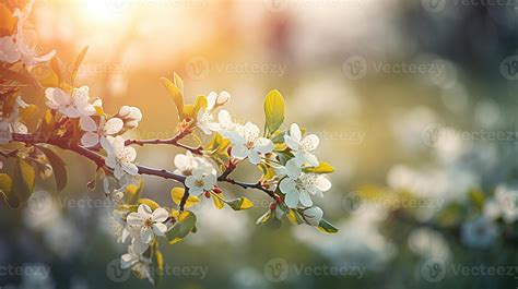 Spring Blossom Volume 2
