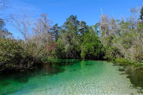 spring hills florida