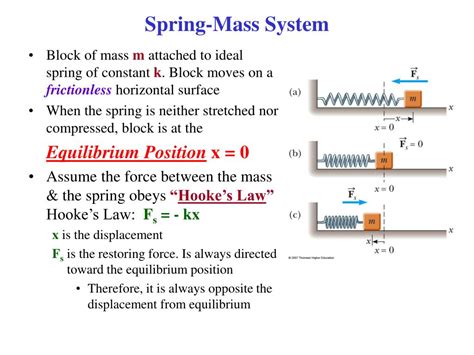 Spring Mass Systems Stephen Murray Answer Key