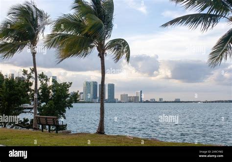 spring miami florida