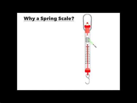 Spring Scales Worksheets Learny Kids Spring Scale Worksheet - Spring Scale Worksheet