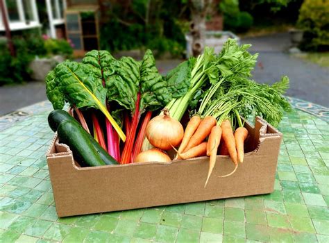Download Spring And Summer Cooking With A Veg Box 
