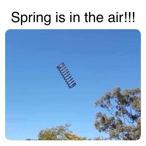 Download Spring Is In The Air 