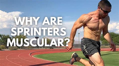 Sprinter Muscles Are Present At The Exit Of