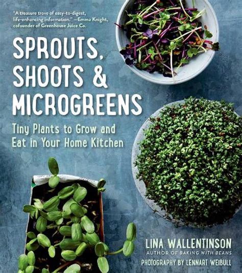 sprouts shoots and microgreens tiny plants to gro