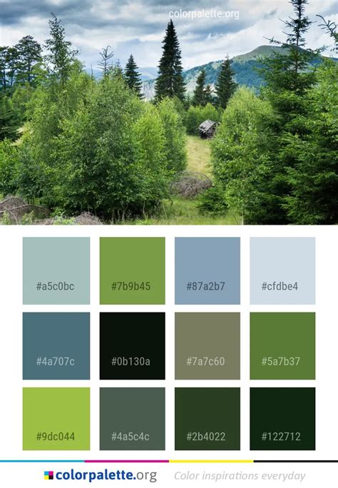 spruce color