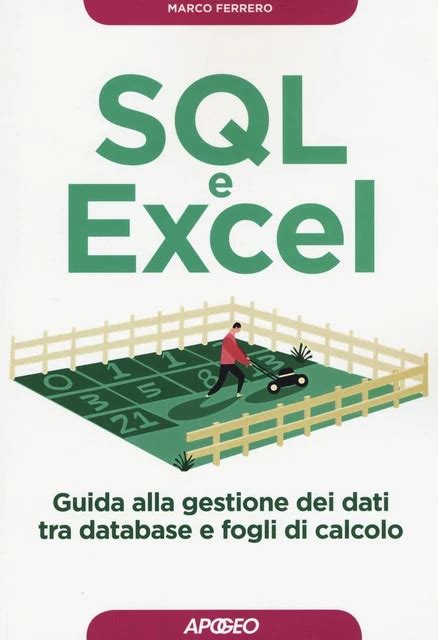 Sql E Excel Guida Alla Gestione Dei Dati Tra Database E Fogli Di Calcolo