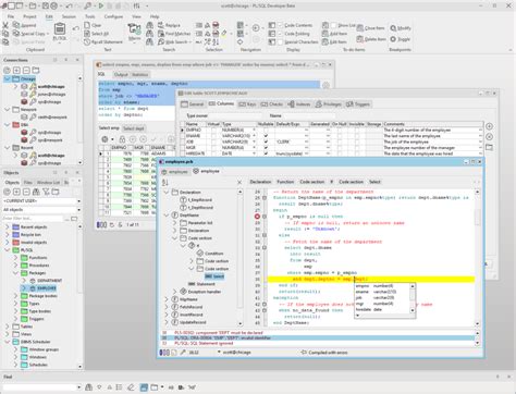 Sql Plsql Developer Guide By Ivan Bayross