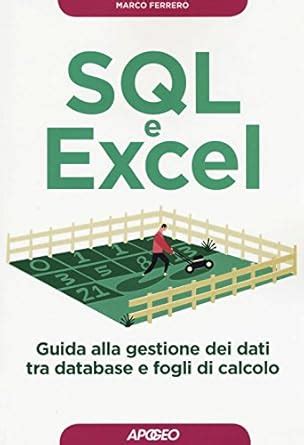 Read Online Sql E Excel Guida Alla Gestione Dei Dati Tra Database E Fogli Di Calcolo 