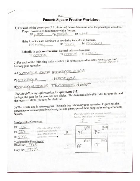 square practice worksheet answers