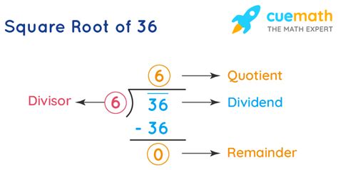 Square Root 36