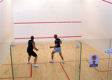 Squash The Game