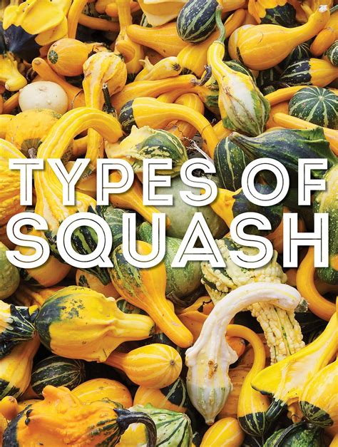 squash types fruit