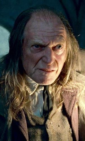 Squib Harry Potter