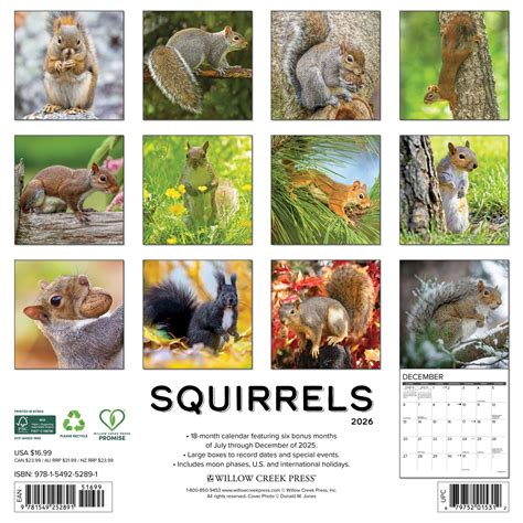 Squirrels 2018 12 X 12 Inch Monthly Square Wall Calendar Wildlife Domestic Animals Multilingual Edition