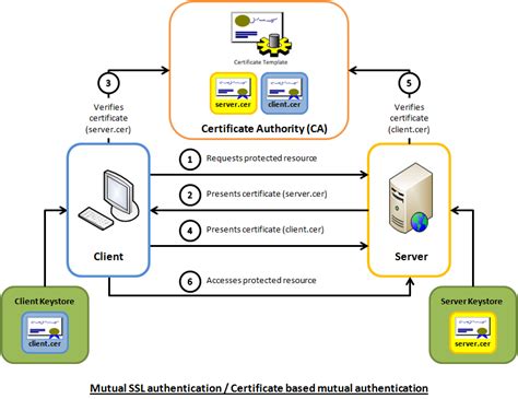 ssl certificate - cUrl with mutual authentication - Stack …