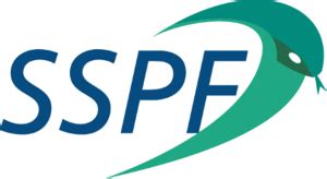 verde: Apostas Desportivas Online com Garantia de Segurança Financeira para Todos os Jogadores - Foto 2