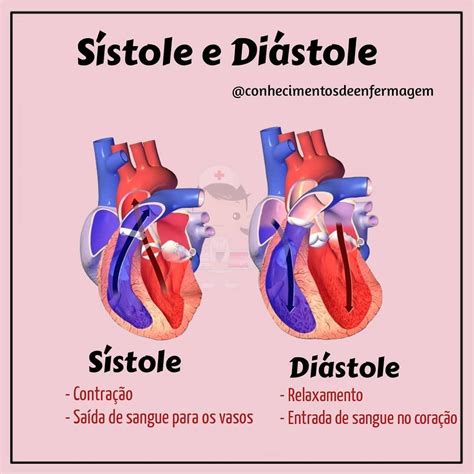 Sístole E Diástole