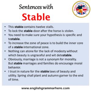 stably in a sentence Sentence examples by Cambridge Dictionary