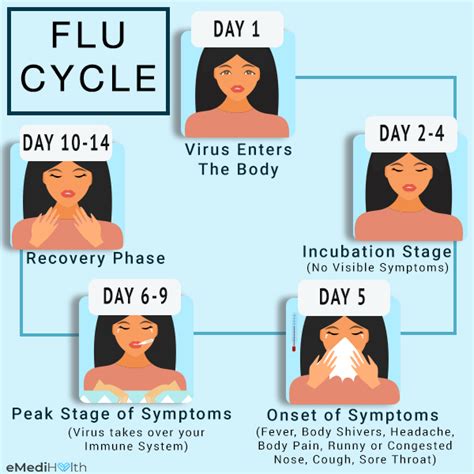 Stages Of Flu Recovery How Long It Lasts Interviewed With The Flu How Can I Redeem Myself - Interviewed With The Flu How Can I Redeem Myself