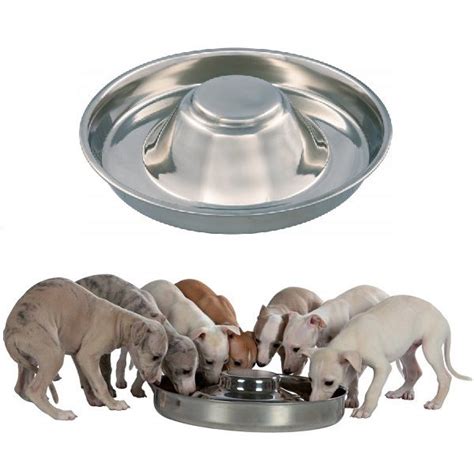 Stainless Steel Puppy Bowl